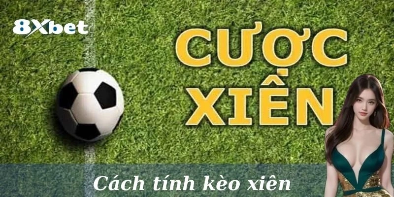 Tầm quan trọng của cách tính kèo xiên