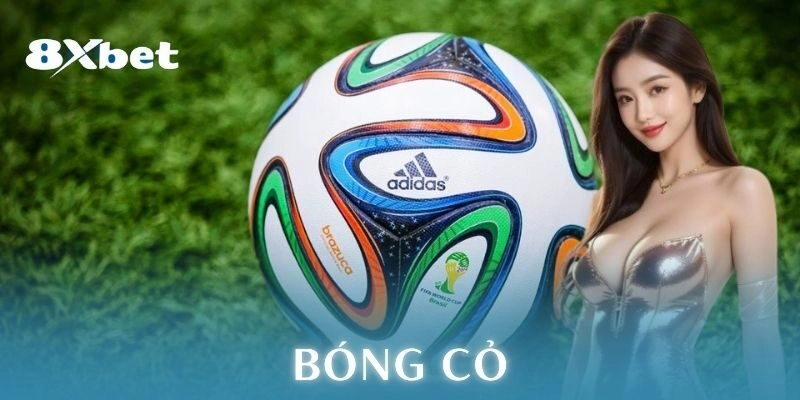 bóng cỏ 8xbet